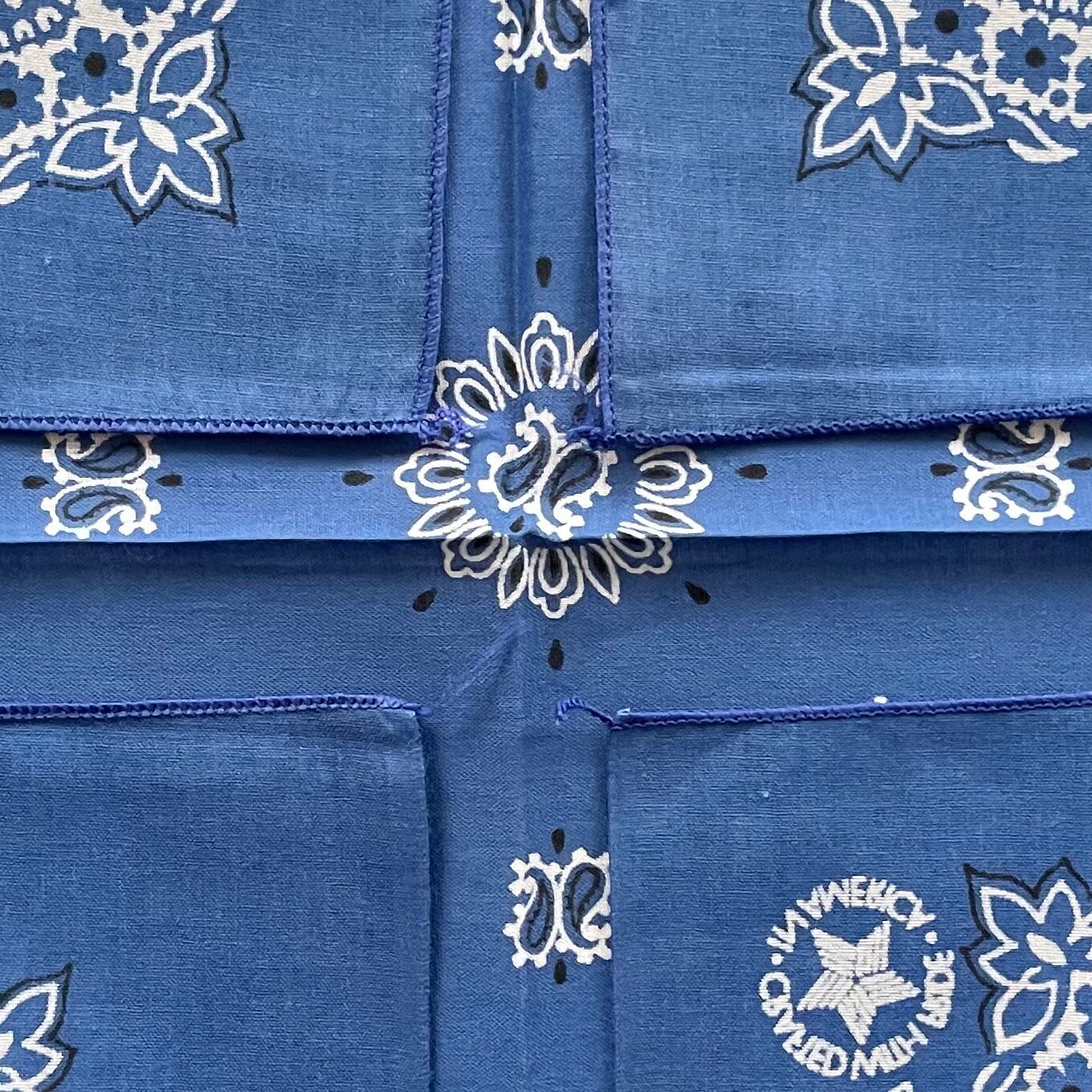 Deadstock】RN15187 PAISLEY ヴィンテージバンダナ ② | swallows
