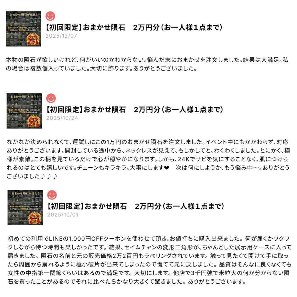 初回限定】おまかせ隕石 2万円分（お一人様1点まで） | 【隕石屋