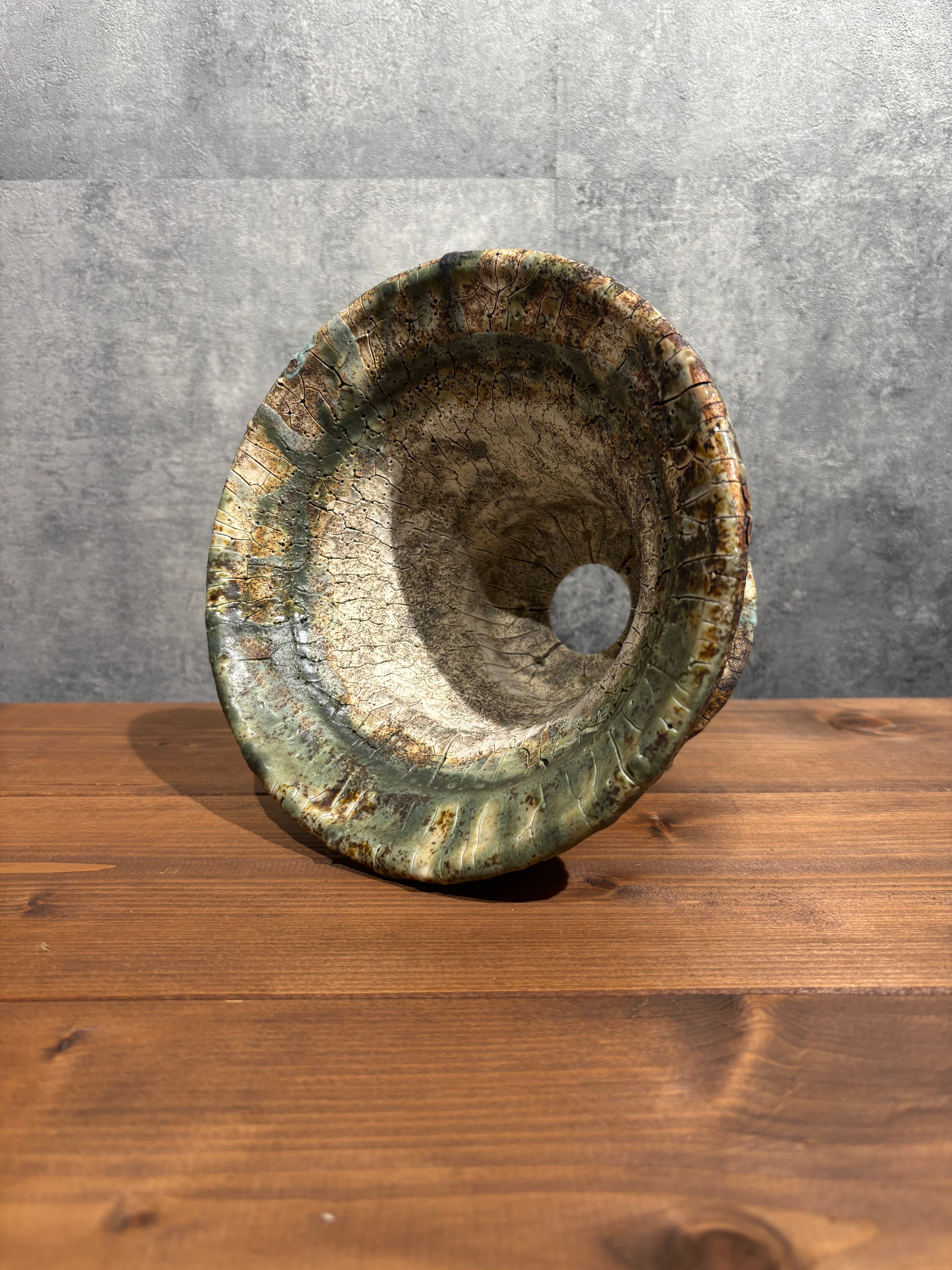 古賀文博　鉢 植木鉢 古賀 文博 | アガベ全般、アガベチタノタ小売、卸、育て方