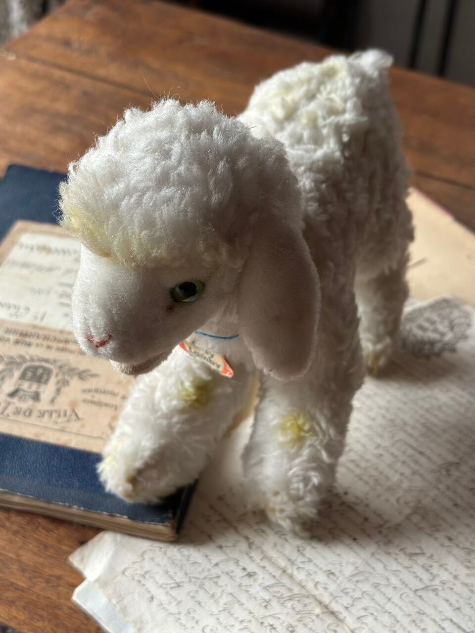 羊のぬいぐるみ Steiff(シュタイフ社製) Cosy Lamby | Brocante de La