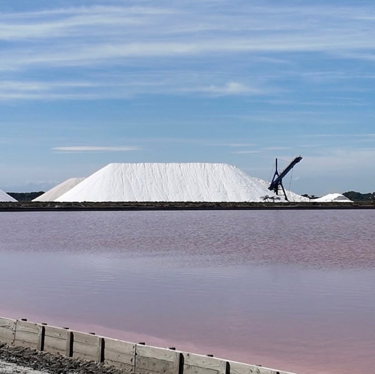 カマルグの塩 フルール・ド・セル プロバンスハーブ
