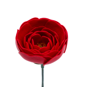 ラナンキュラスN-R1 レッド　(15輪入りor25輪入り)