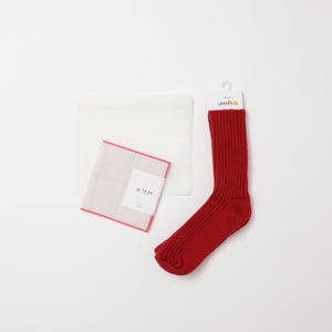 Holiday Gift 02 / Socks Set
