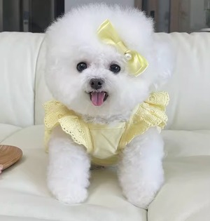 ドッグ 犬 小型犬 室内着 ドレス ワンピース スカート アクセサリー ヘアピン フリルワンピース セット フレア フリル リボン ふりふり レース パール かわいい きれいめ シンプル 上品 おしゃれ レトロ エレガント モダン 主役級 ラブリー キュート プリンセス フェアリー ラグジュアリー 無地 夏 誕生日 結婚式 ハロウィン 女の子 成犬 デート お出かけ パーティー イベント リゾート 休日 記念日 カフェ 室内 XXS XS S M L XL 2XL 3XL 大きいサイズ イエロー