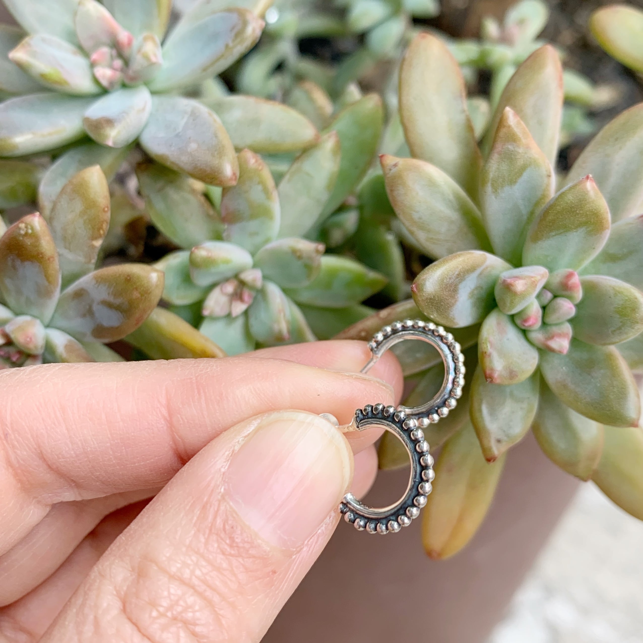 スモール ドット スタッド フープ ピアス 直径1.4cm | 【公式通販