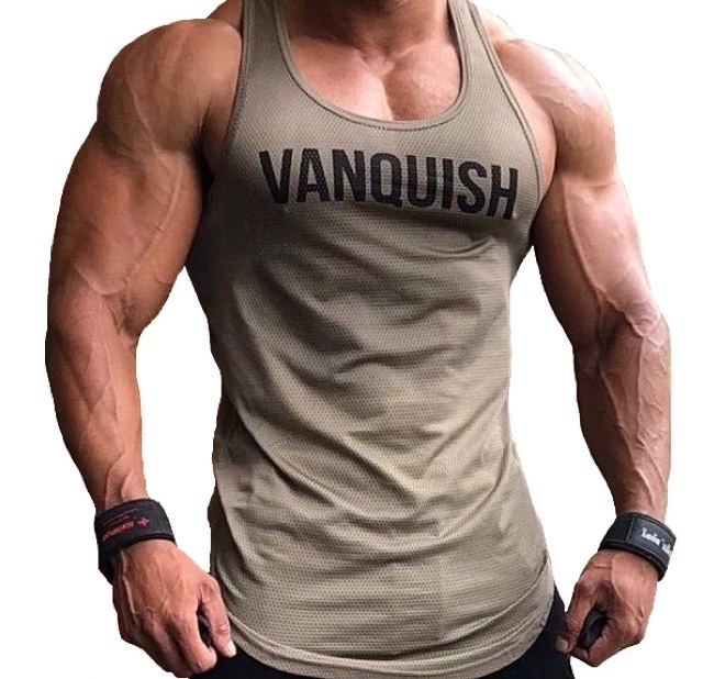 Vanquish センター ロゴ タンクトップ 筋トレ スポーツ ウェア メンズ Gym Vq ボディビル トレーニング Mmmc Vanquish センター ロゴ タンクトップ 筋トレ スポーツ ウェア メンズ Gym Vq ボディビル トレーニング Mmmc