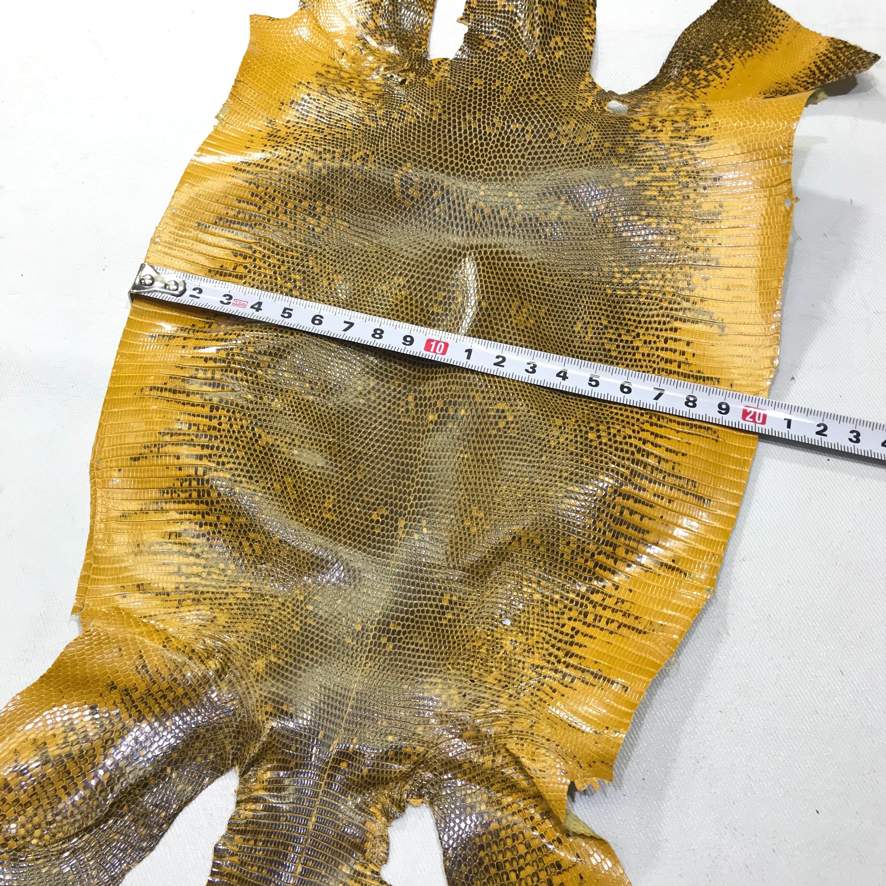 リングマークトカゲ革【約20㎝幅】C8D-055 ※浅草橋中央店販売商品