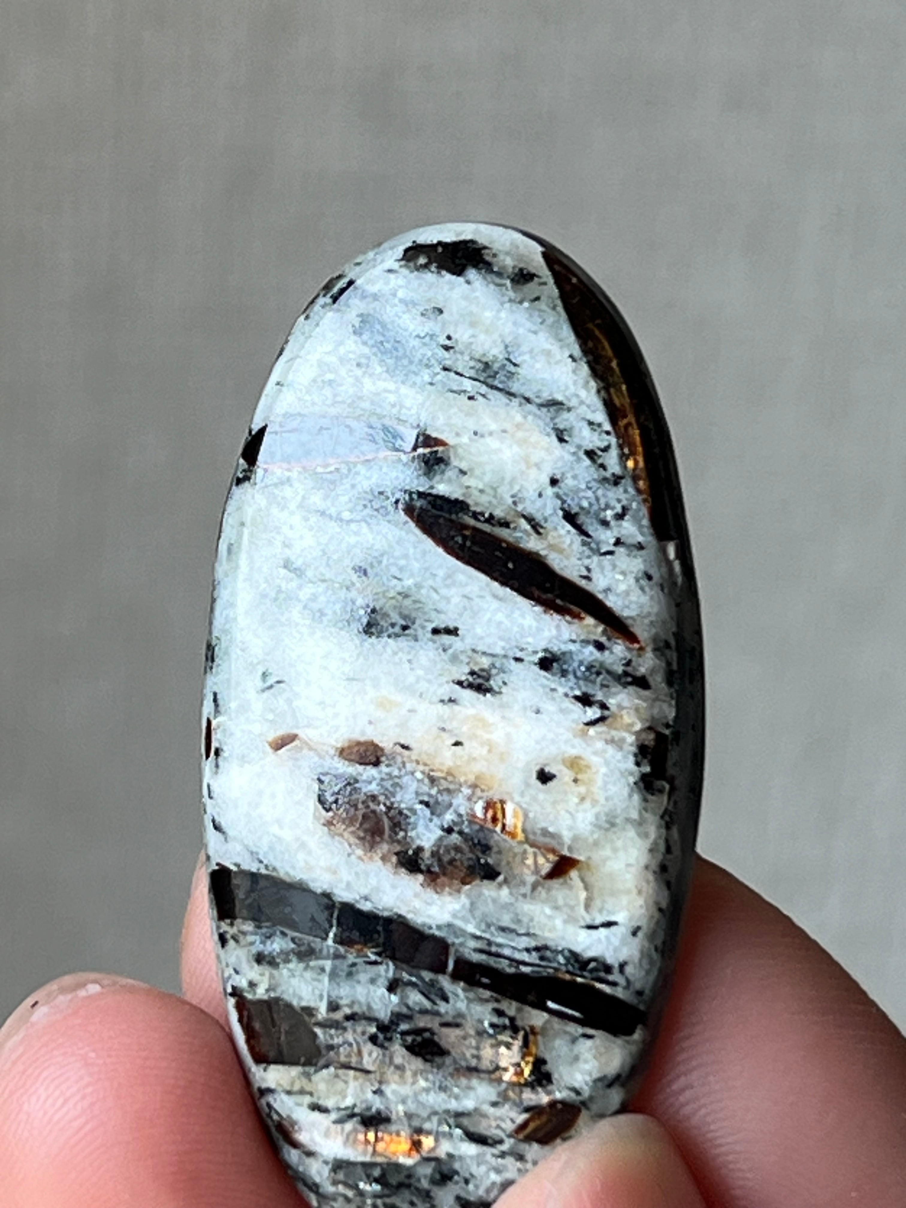 【ルース大】テンペストストーン(アストロフィライト)