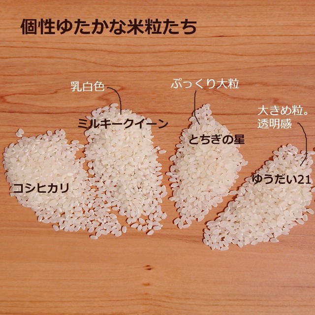 令和８年産・新米『ミルキークイーン』【玄米】内容量５kg・送料無料　