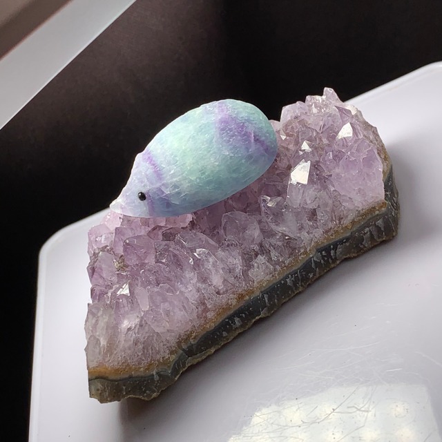 6.ウルグアイ産アメジストクラスターに住み着いているフローライトハリネズミさん