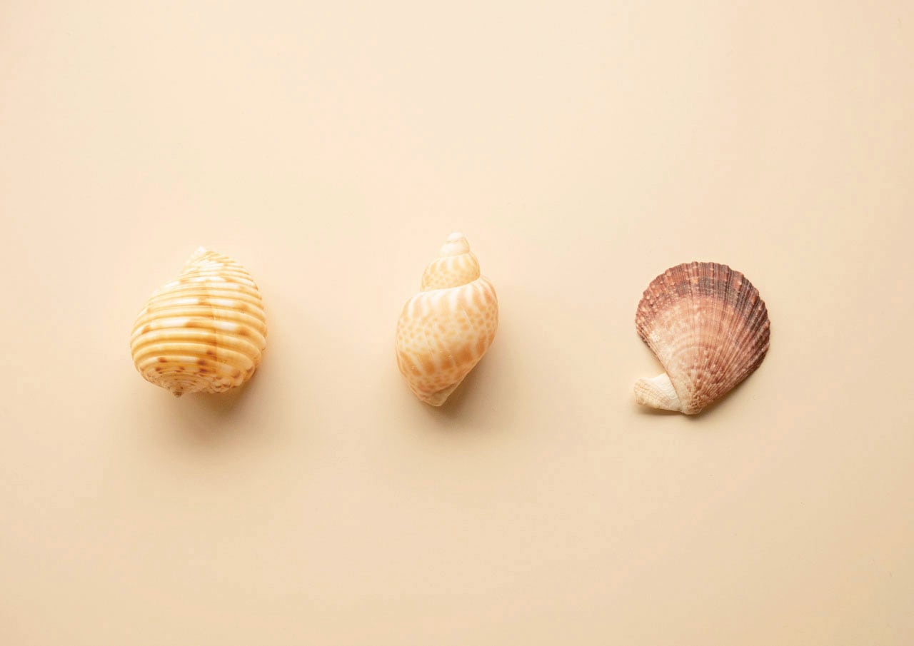 010~012 | D ティータイムカラーセット | A3 | Ambiance Paper