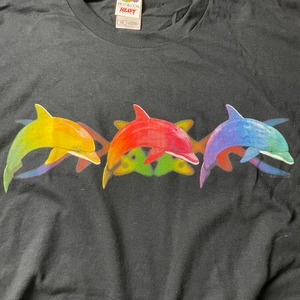 GRADATION DOLPHIN  T's