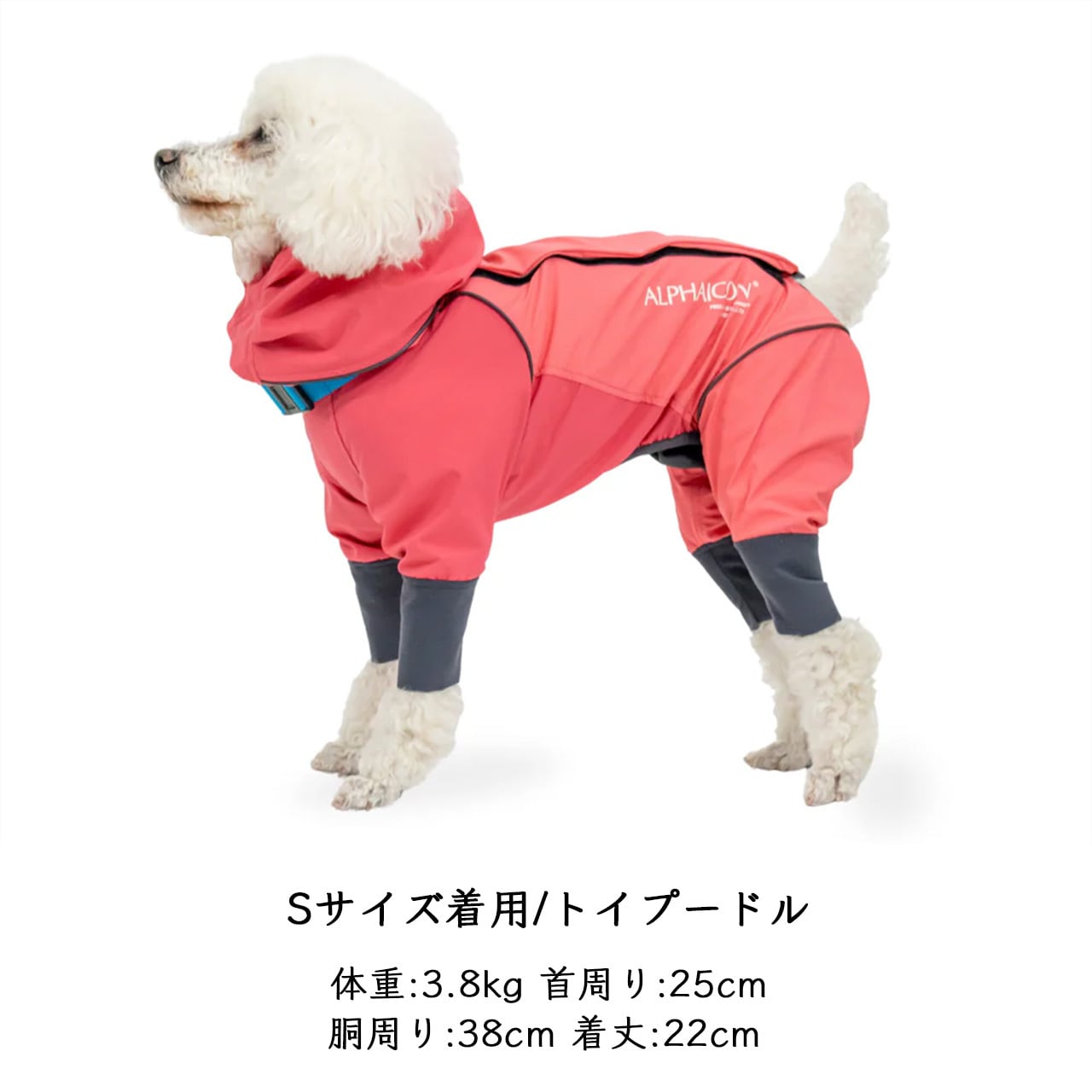 ALPHAICON　レインドッグガード　男の子用　サイズL1 ALPHAICON [アルファアイコン] RAIN DOG GUARD [26RDG] レインドッグ