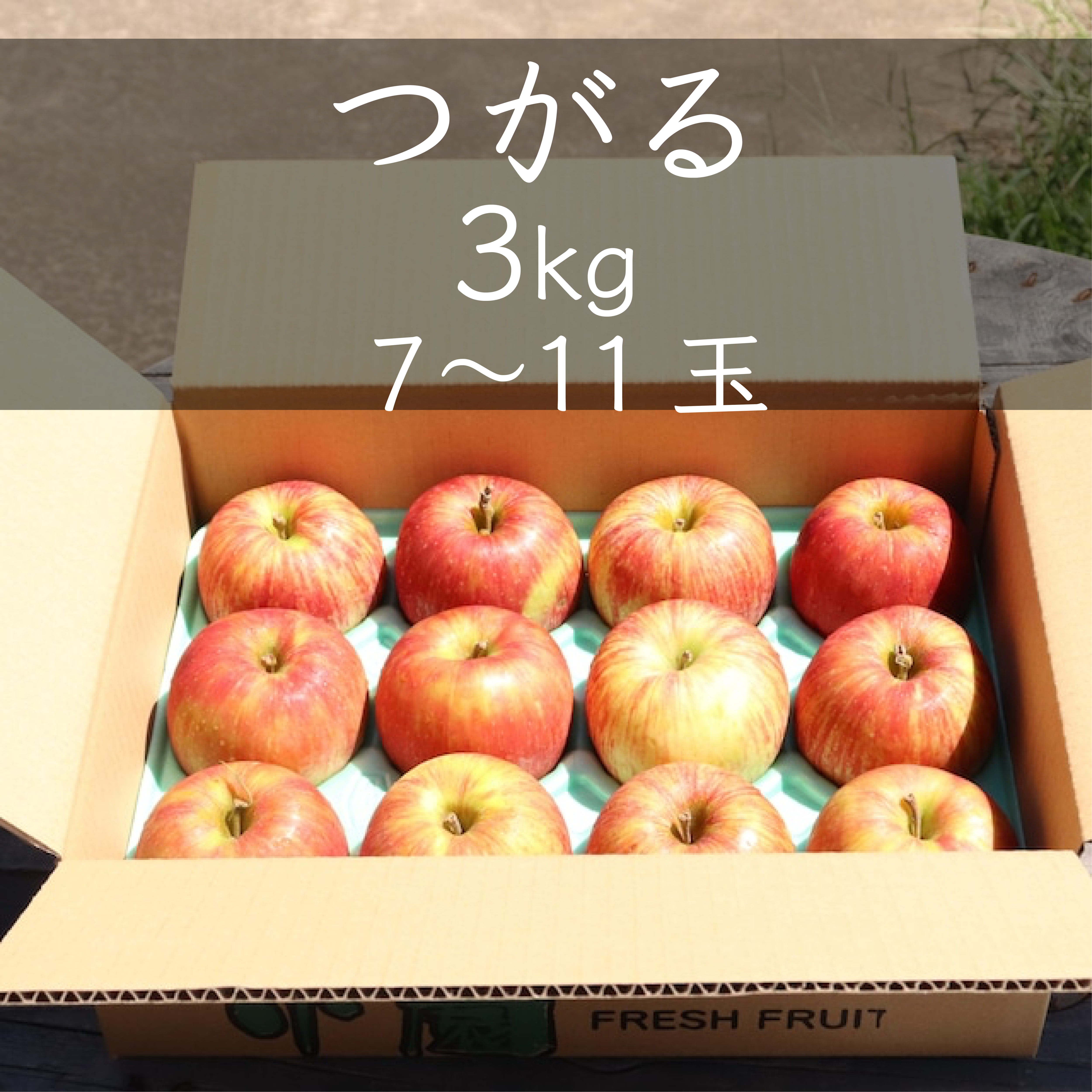 りんご「つがる」約3キロ(７～11個)　フルーツガーデン北沢／マルカメ醸造所