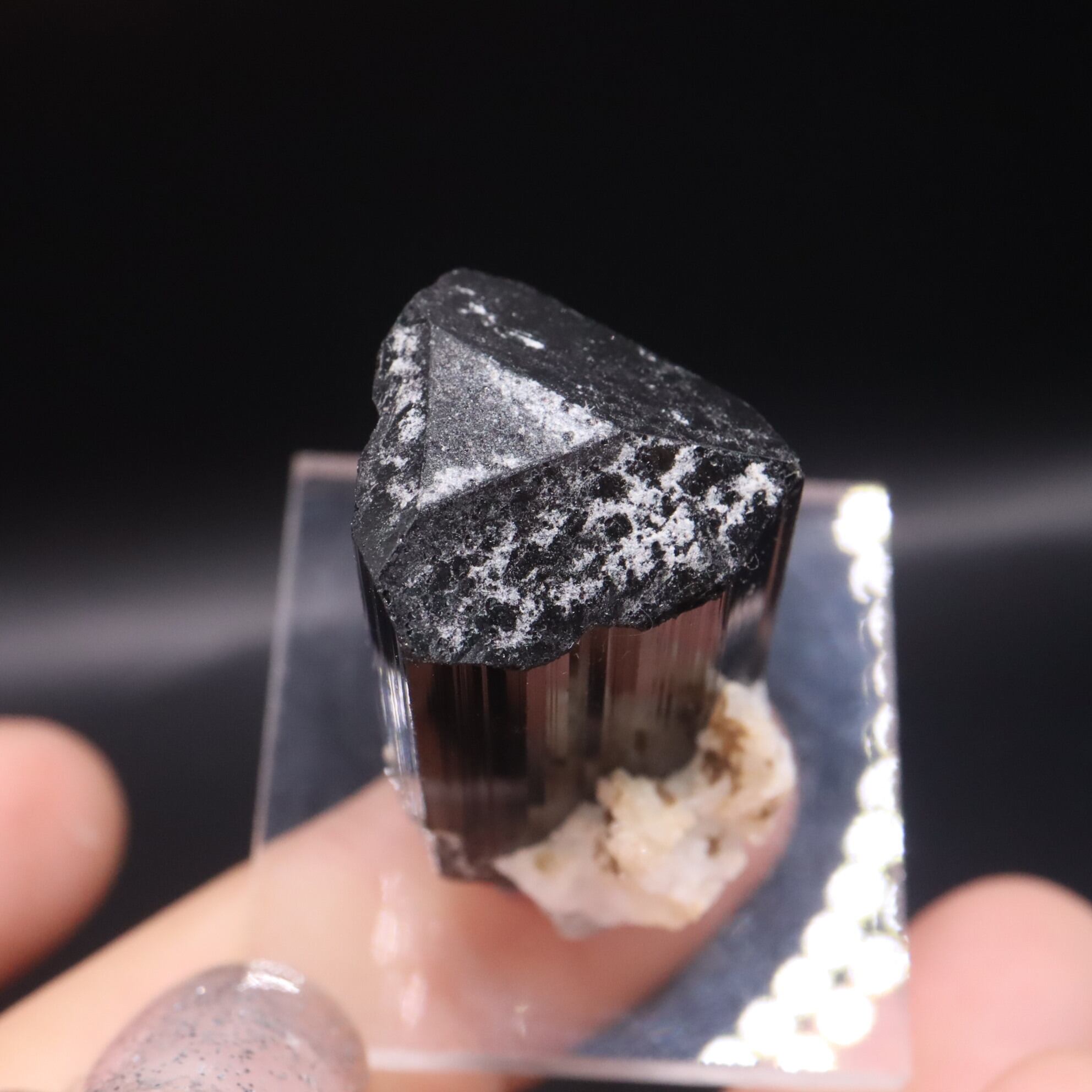 ショールインクォーツ　水晶　電気石　鉱物標本　原石　天然石　ストーン　トルマリン ショール/ブラックトルマリン 結晶 電気石 T819 鉱物 天然石 原石