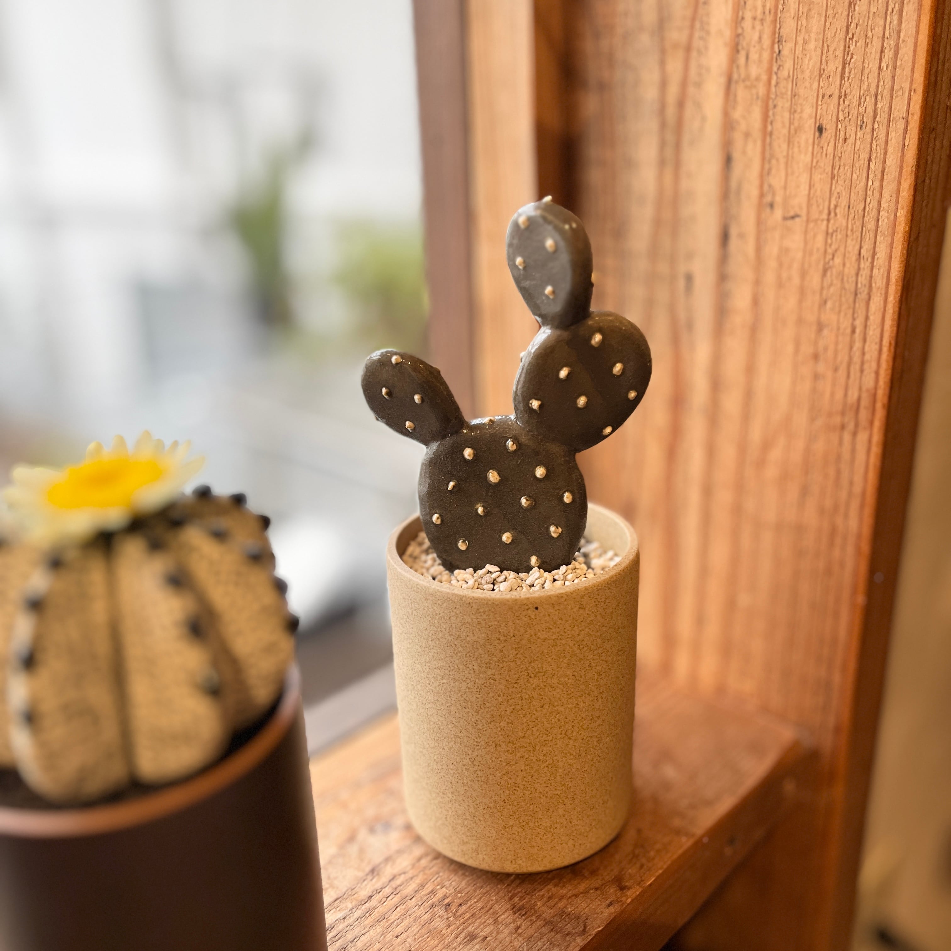 STUDIO.ZOK 陶植 ウチワサボテン 小 | ihana design(イハナデザイン）