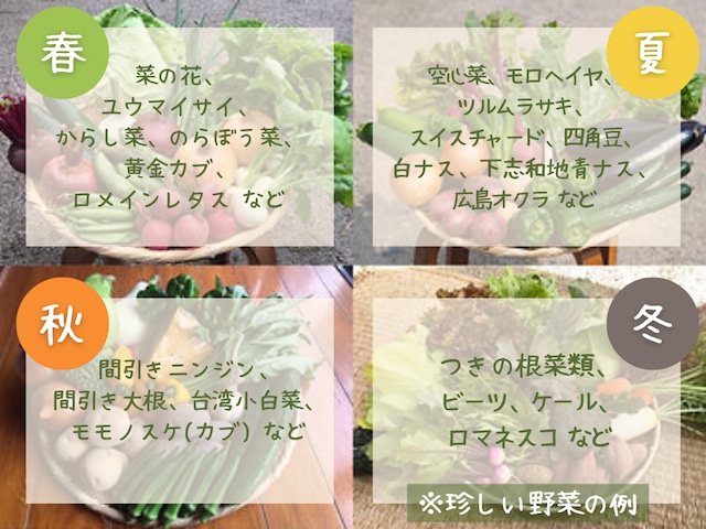 【定期便：月1回】旬の野菜セットM