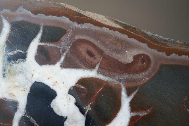 セプタリアン Septarian 1276