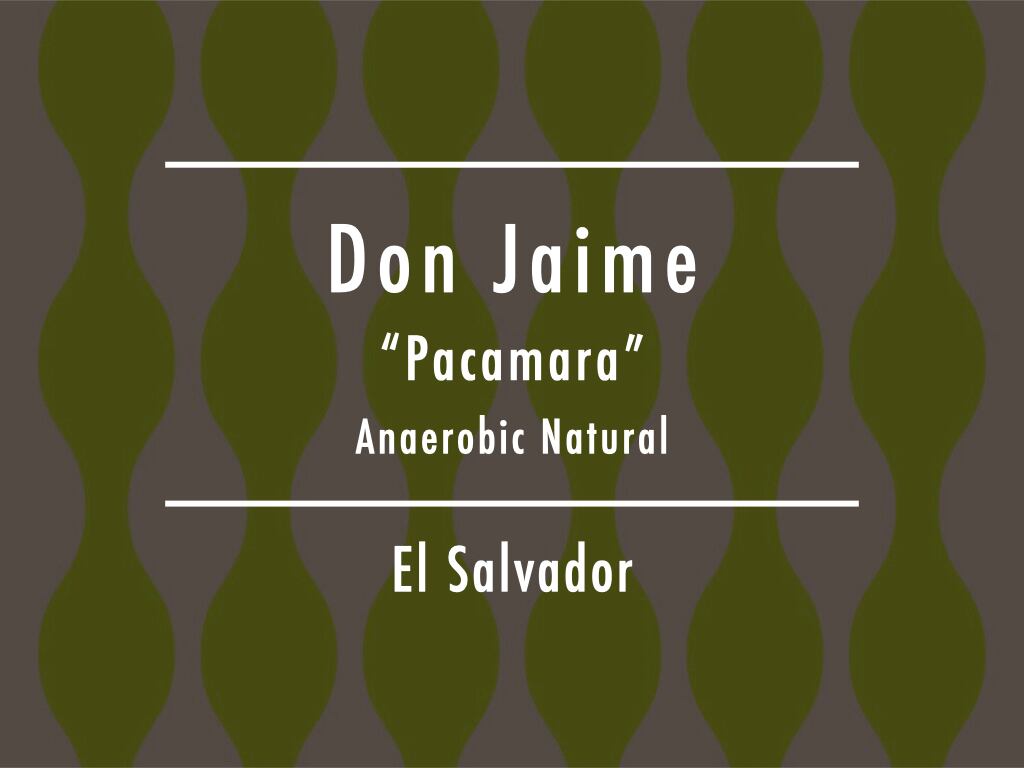 【お得!500g】エルサルバドル / Don Jaime "Pacamara" Anaerobic Natural