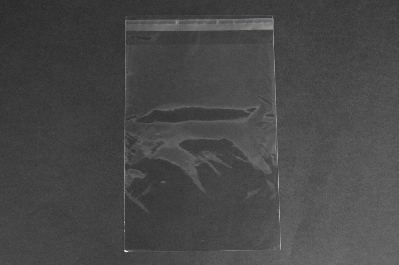 雑貨小分け包装・部品、資料整理(OPP袋 OPP袋 雑貨袋 テープ付き)横195×縦270+フタ40mm 30μ(0.03mm)【1,000枚】