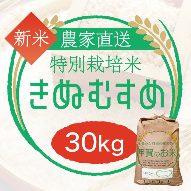農家直売・特別栽培米 きぬむすめ 玄米30kgまたは白米27kg〈1