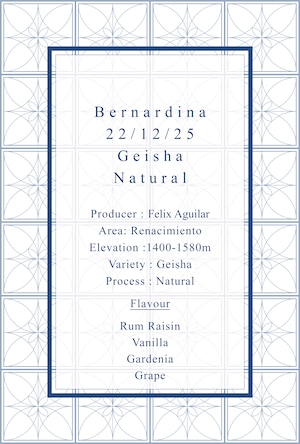 Bernardina Geisha Natural 22-12-25