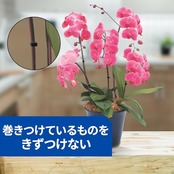 3M ワンタッチベルト 12.7mm×3m ブラック NC-2232R3