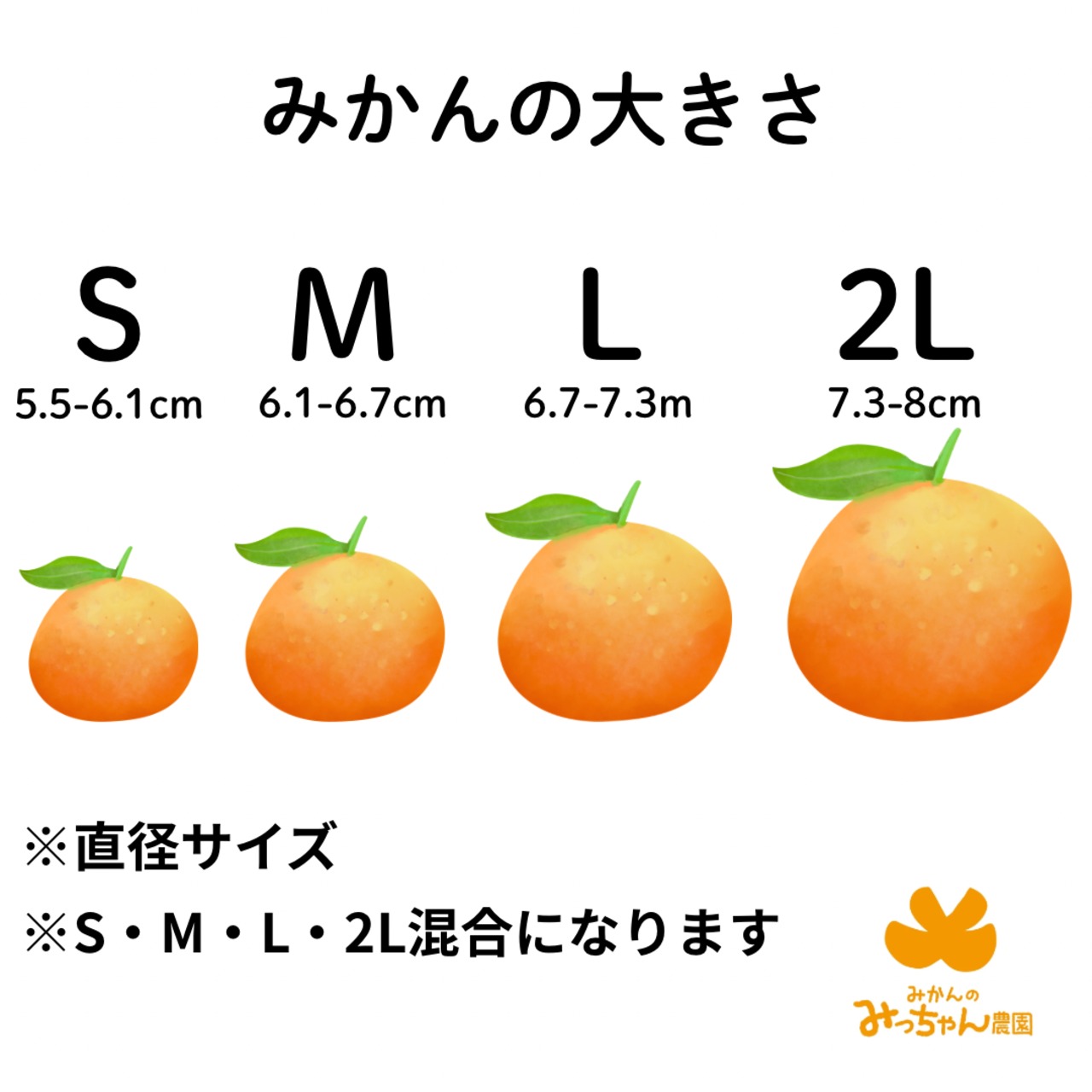 【11月17日-23日発送分】通販の虎早生みかん(3kg)