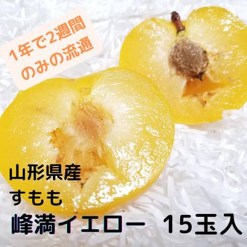 贈答用】峰満イエロー(日本スモモ) 15玉入 ギフト プレゼント 贈答用に