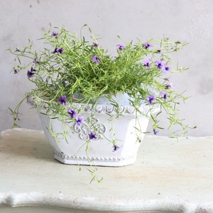 植木鉢　エクサゴンワイドM　陶器　アンティーク調　シャビーシック　オシャ