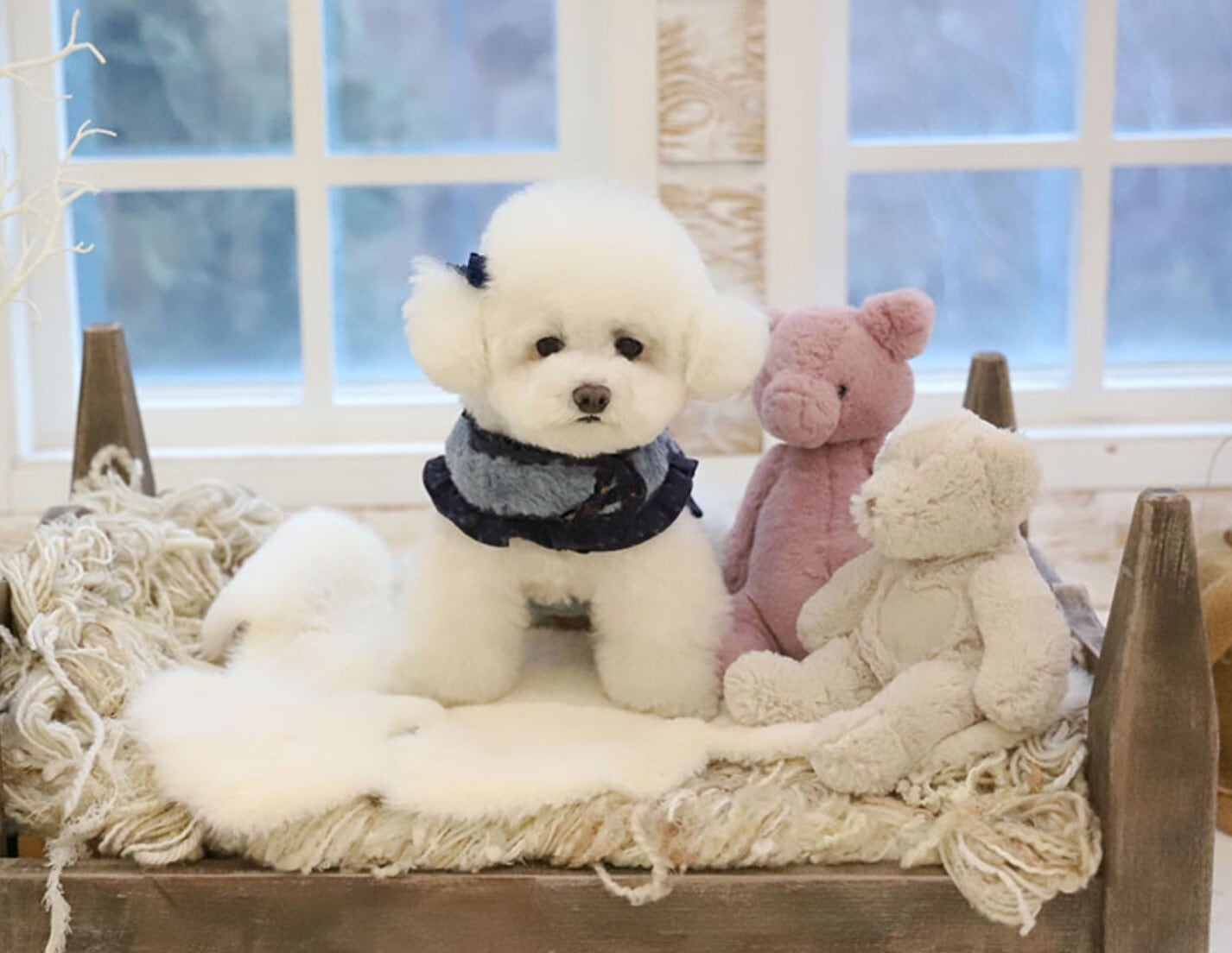 即納【COZY N】Fur Harness＋Leash《4color》 | haneulpet