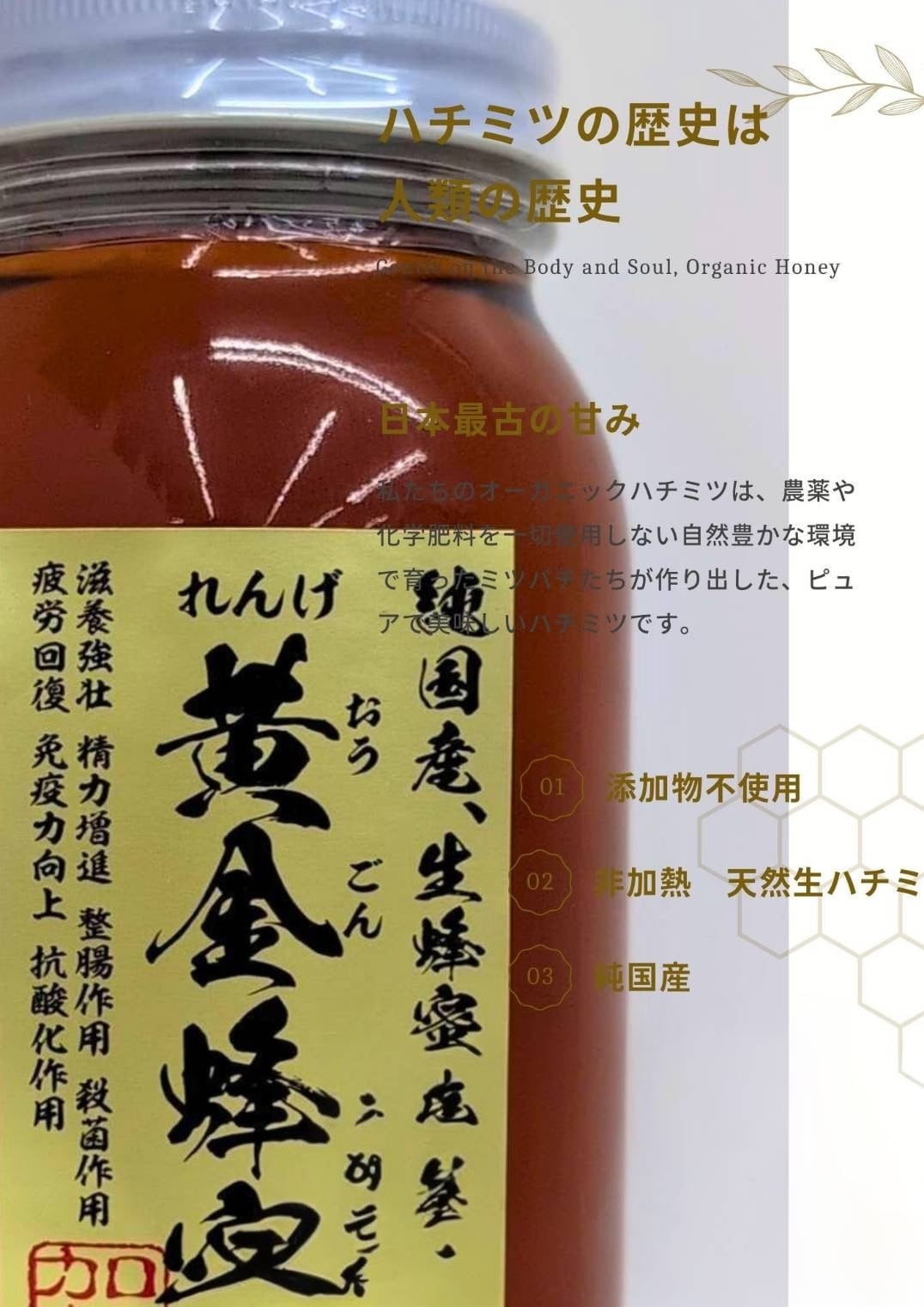 希少！純国産】大分県産黄金れんげはちみつ【非加熱】 | テイクアウト
