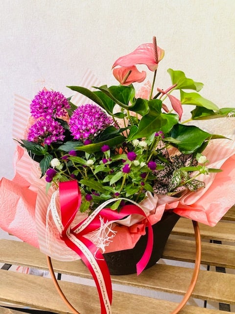 テラコッタ鉢 ウィッチフォード 植木鉢 鉢 テラコッタ Whichford