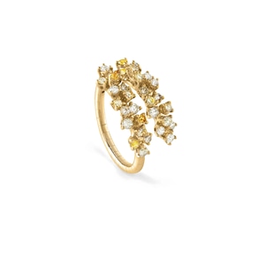 DAMIANI Mimosa(20078489)