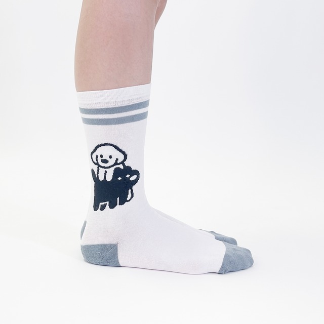 【matsui】SOCKS  ライン ホワイト ソックス