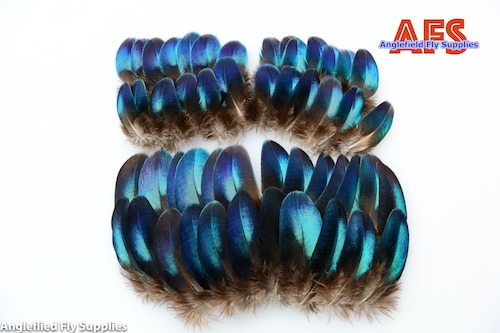 【AFS】Peacock Blue Wing Cover 8pcs. (4 pairs) / S size