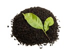 【Ilam black tea/イラム 紅茶】（ネパール/イラム産：200g）5個セット