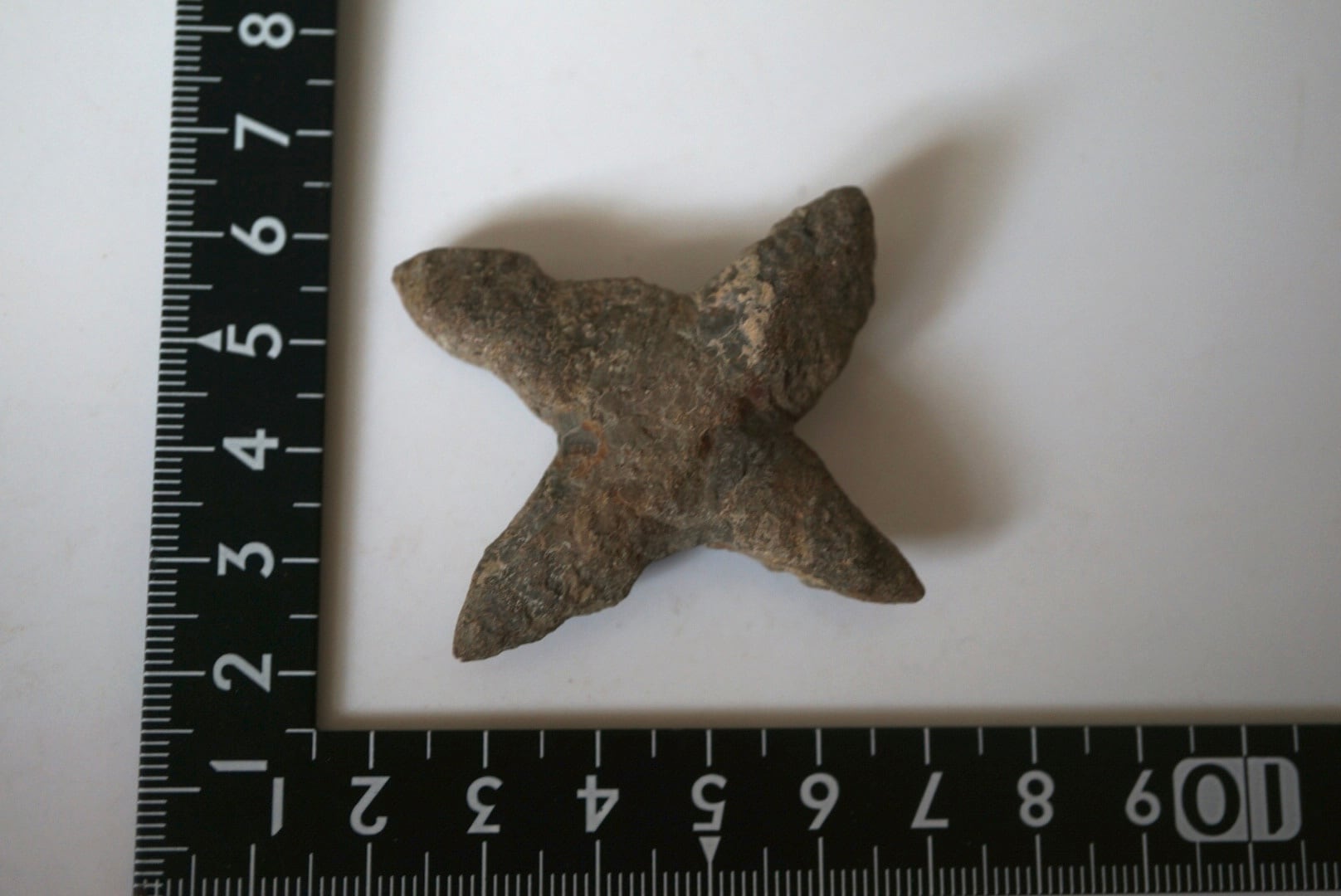 長野県産玄能石(イカイト仮晶、グレンドナイト) Ikaite / Glendonite