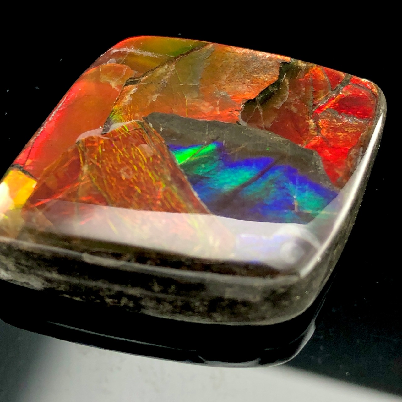 高品質 カナダ産 アンモライトルース アンモライト化石宝石y2057  