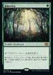 MTG《調和の中心/Concordant Crossroads(2X2)》日本語