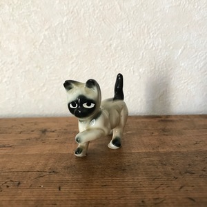 面白い目のねこ