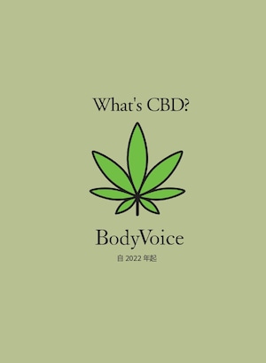 【中国語】What's CBD？