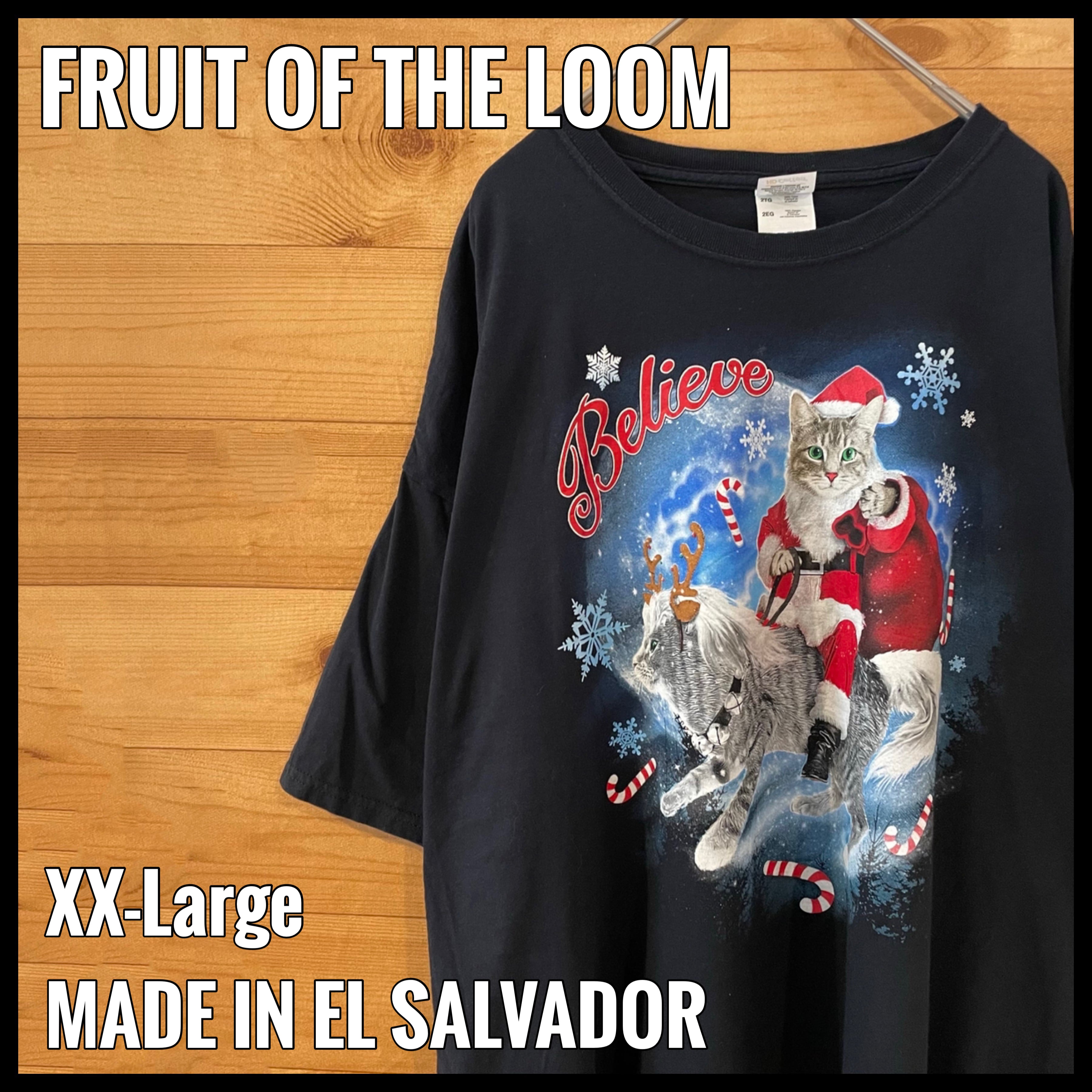 FRUIT OF THE LOOM】猫 サンタ トナカイ アニマルプリント Tシャツ