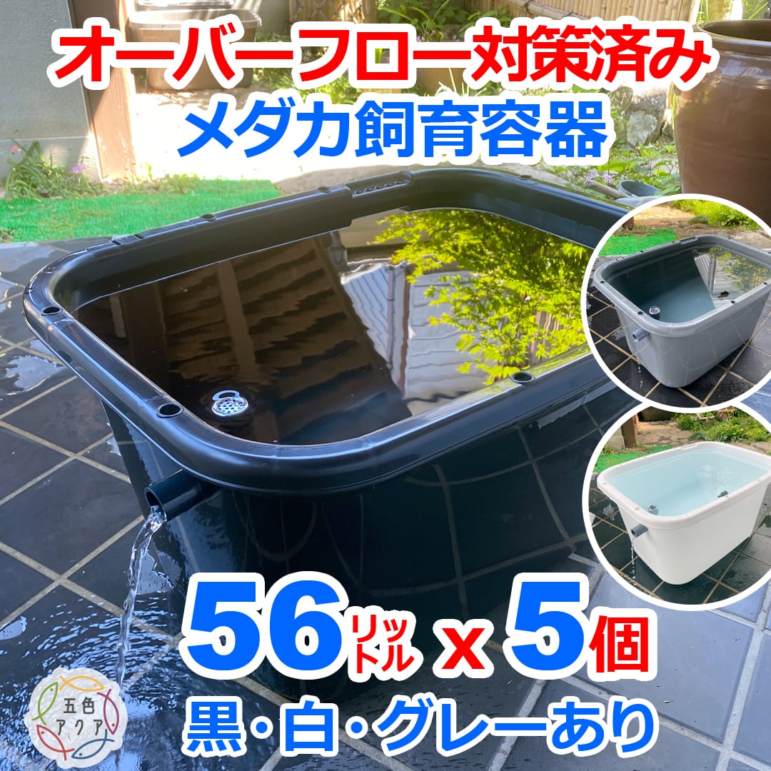 五色アクア BASE店