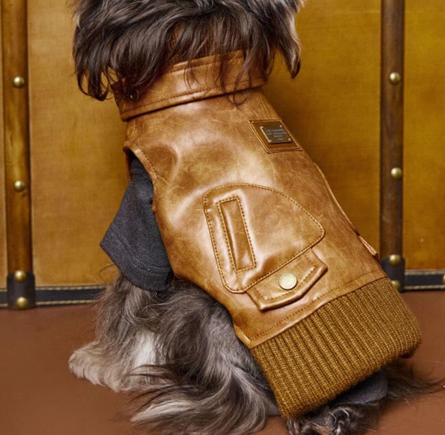 〖予約〗1103201 艶出しレザーベスト