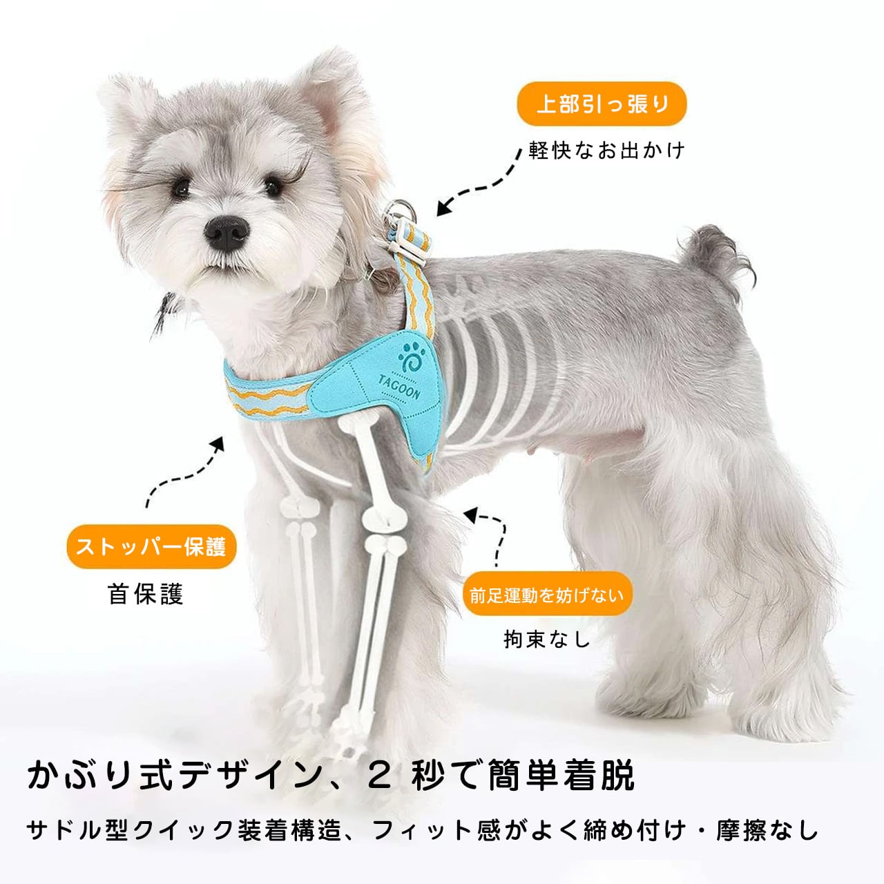 MJ17 .Y 字型 小型犬用ハーネスリード ビションフリーゼ・トイプードル