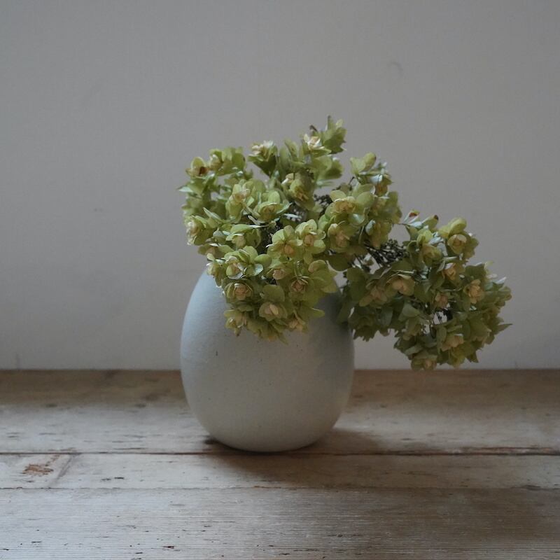 SEAL限定商品 オリジナル作品花入れ - solarmentor.com.au