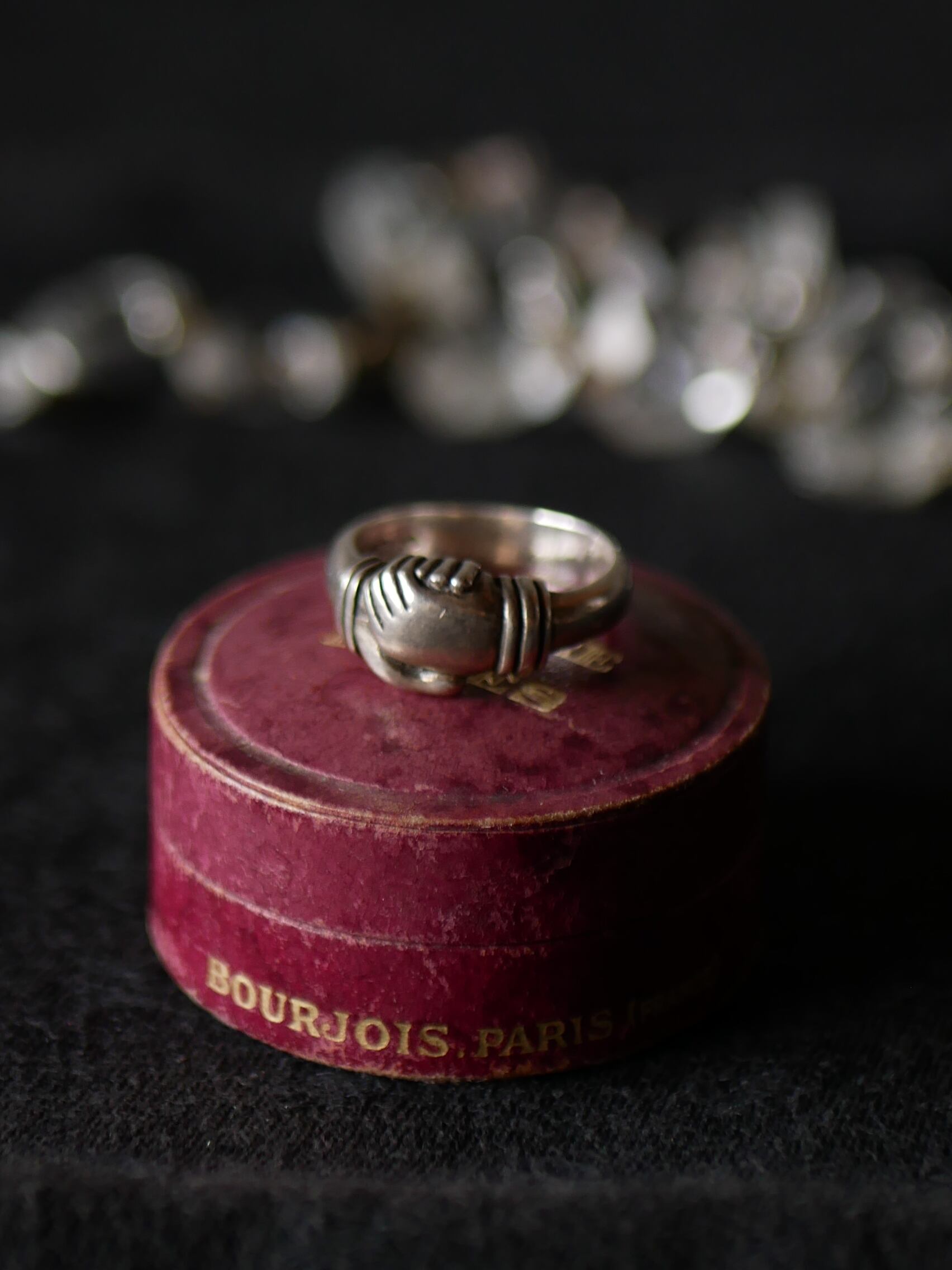 フランスアンティーク ブロカント 蔓薔薇のポルトモネ シャトレーン