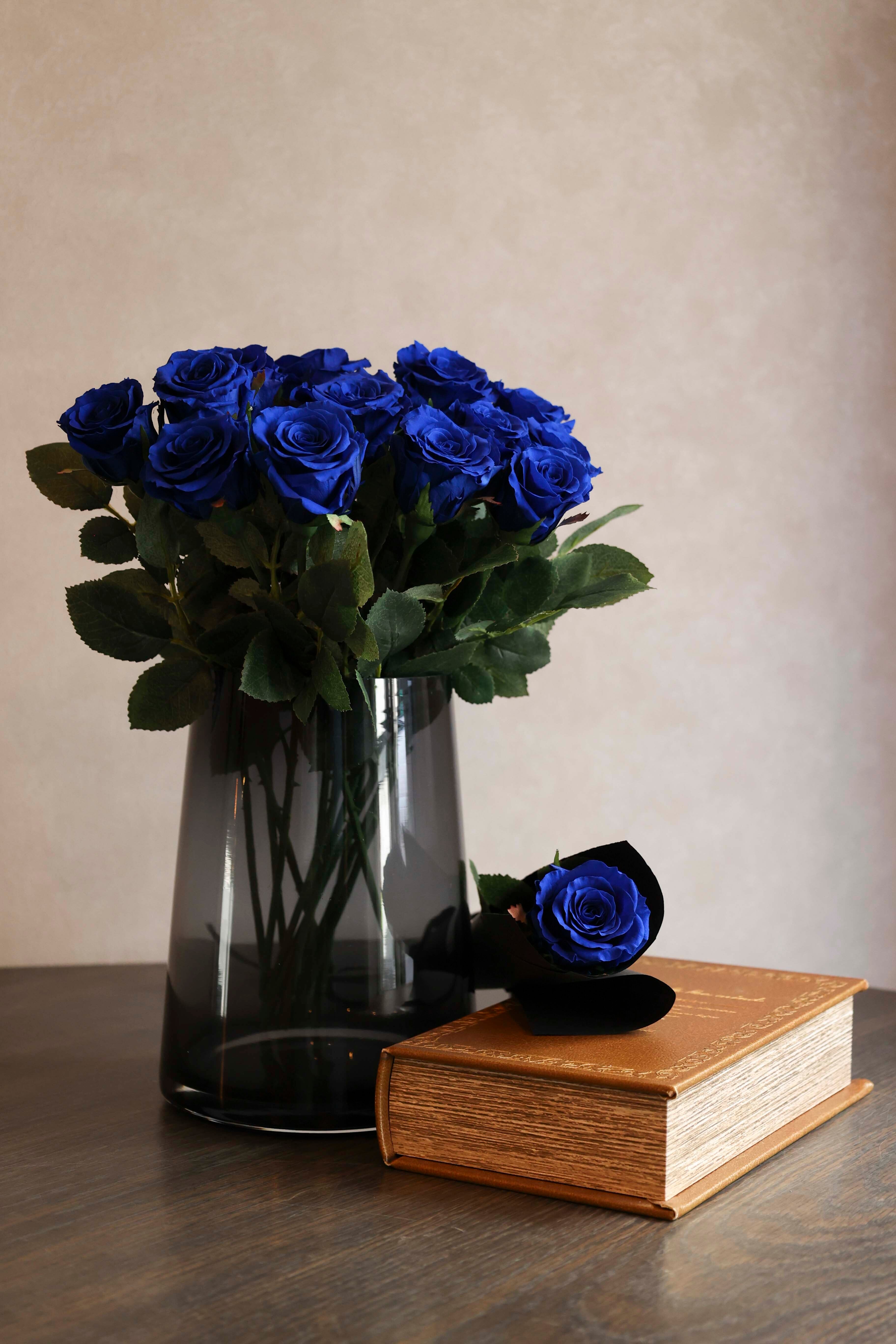 ♡美品【 F.C.R.B. 】［プルオーバー］ティファニー ブルー　M　ナイロン バード オン ア ロックと祝福するティファニー ホリデー | Tiffany & Co.