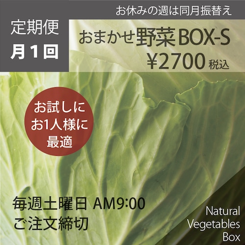 【月1回】おまかせ野菜BOX - Sサイズ